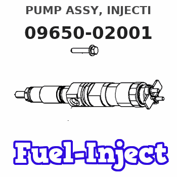09650-02001 PUMP ASSY, INJECTI