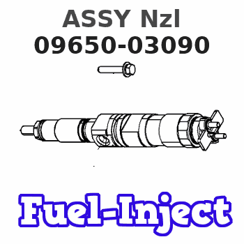 09650-03090 ASSY Nzl