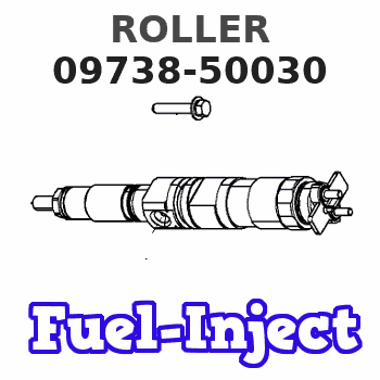 09738-50030 ROLLER