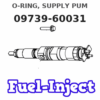 09739-60031 O-RING, SUPPLY PUM