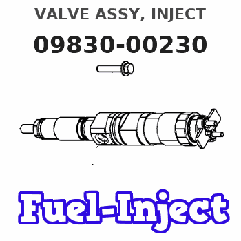 09830-00230 VALVE ASSY, INJECT