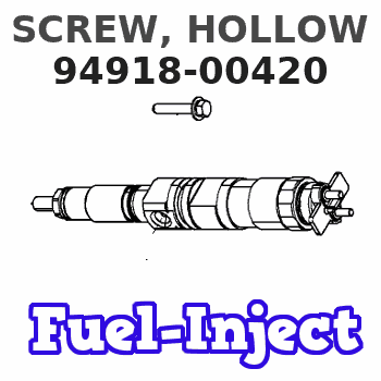 94918-00420 SCREW, HOLLOW