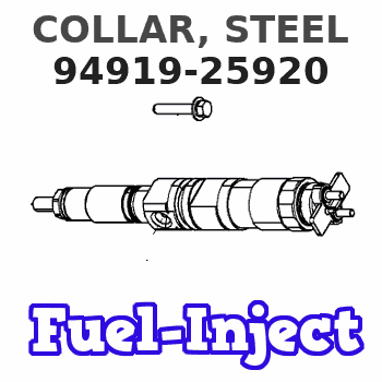 94919-25920 COLLAR, STEEL