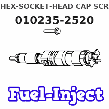 010235-2520 HEX-SOCKET-HEAD CAP SCRE