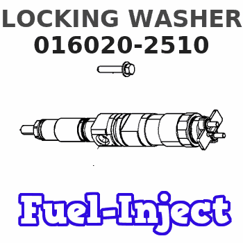 016020-2510 LOCKING WASHER