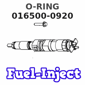 016500-0920 O-RING