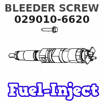 029010-6620 BLEEDER SCREW