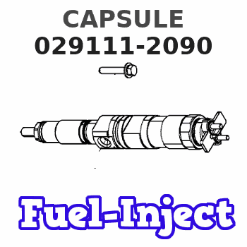 029111-2090 CAPSULE