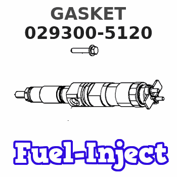 029300-5120 GASKET