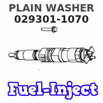 029301-1070 PLAIN WASHER