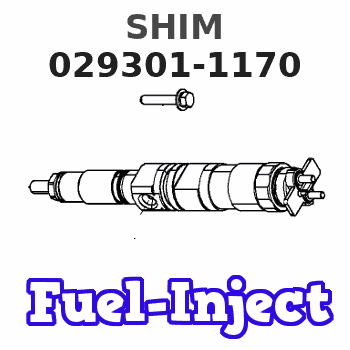 029301-1170 SHIM