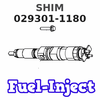 029301-1180 SHIM