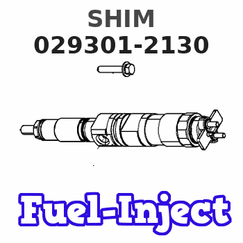 029301-2130 SHIM