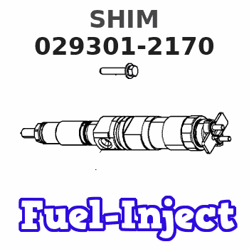029301-2170 SHIM