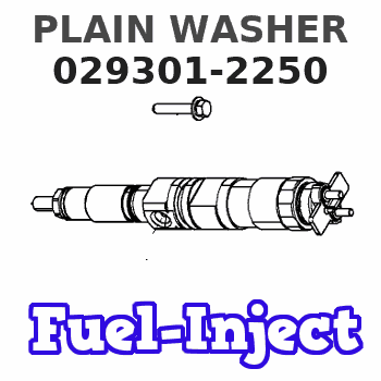 029301-2250 PLAIN WASHER