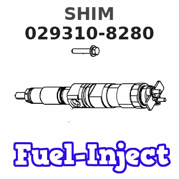 029310-8280 SHIM
