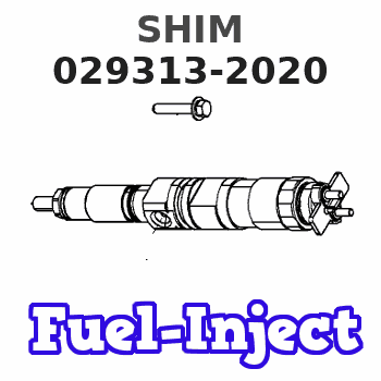 029313-2020 SHIM