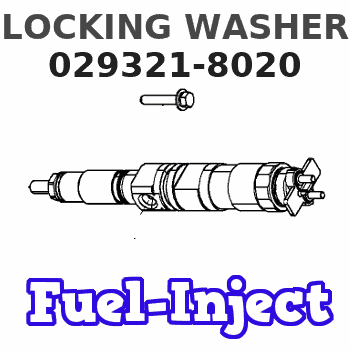 029321-8020 LOCKING WASHER