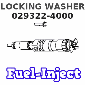 029322-4000 LOCKING WASHER