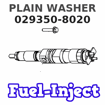 029350-8020 PLAIN WASHER