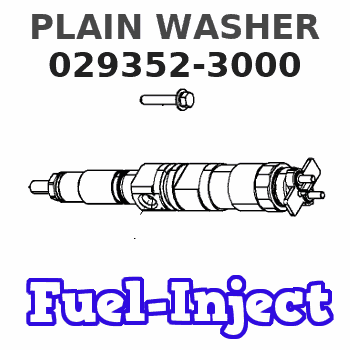 029352-3000 PLAIN WASHER