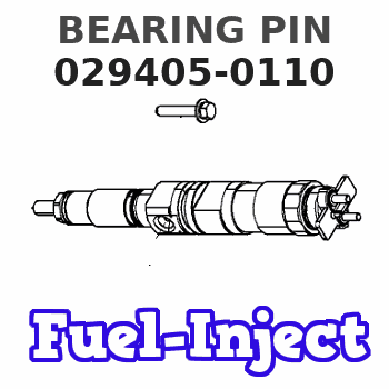 029405-0110 BEARING PIN