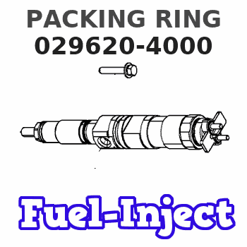 029620-4000 PACKING RING