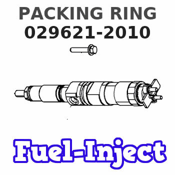 029621-2010 PACKING RING