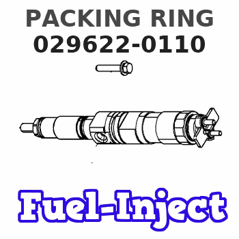 029622-0110 PACKING RING