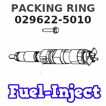 029622-5010 PACKING RING