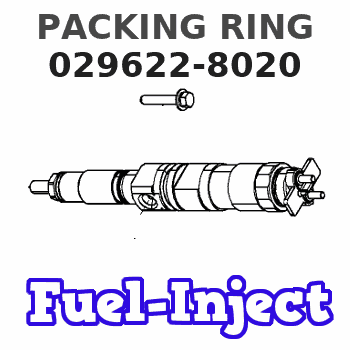 029622-8020 PACKING RING