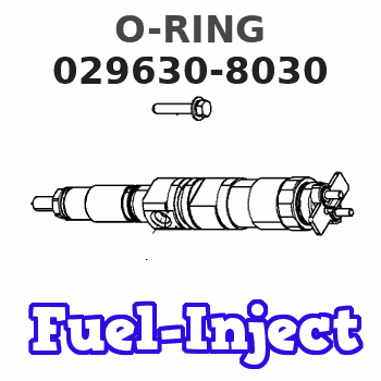 029630-8030 O-RING