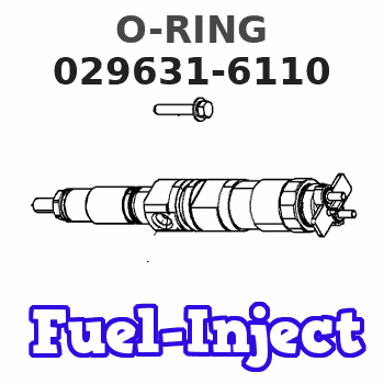 029631-6110 O-RING