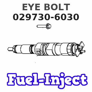 029730-6030 EYE BOLT