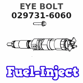 029731-6060 EYE BOLT
