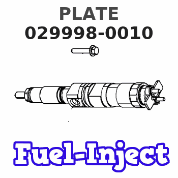 029998-0010 PLATE