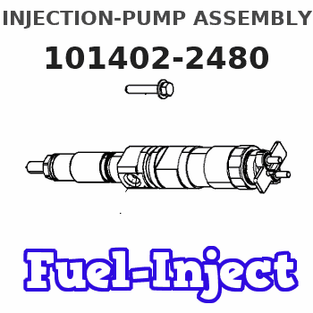 101402-2480 INJECTION-PUMP ASSEMBLY