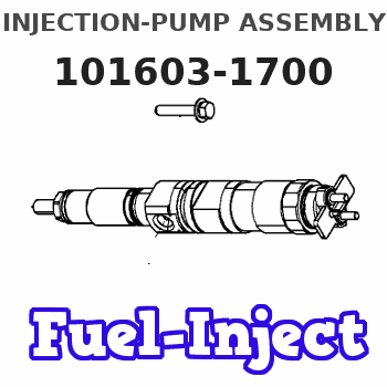 101603-1700 INJECTION-PUMP ASSEMBLY