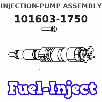 101603-1750 INJECTION-PUMP ASSEMBLY
