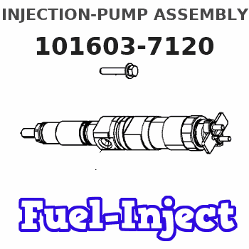 101603-7120 INJECTION-PUMP ASSEMBLY