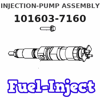 101603-7160 INJECTION-PUMP ASSEMBLY