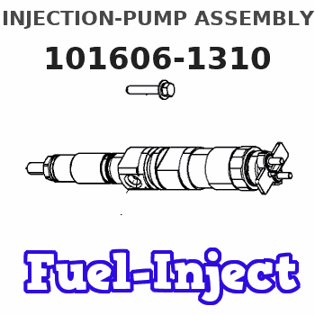 101606-1310 INJECTION-PUMP ASSEMBLY