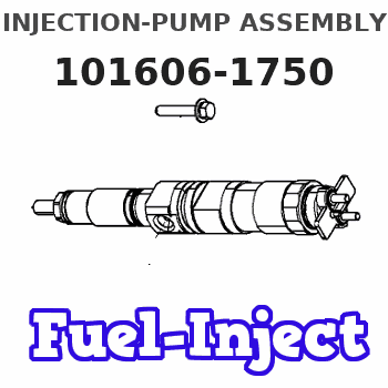 101606-1750 INJECTION-PUMP ASSEMBLY
