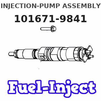 101671-9841 INJECTION-PUMP ASSEMBLY
