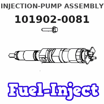 101902-0081 INJECTION-PUMP ASSEMBLY
