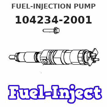 104234-2001 FUEL-INJECTION PUMP