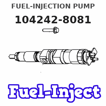 104242-8081 FUEL-INJECTION PUMP