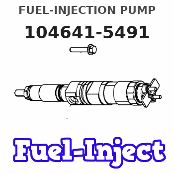 104641-5491 FUEL-INJECTION PUMP