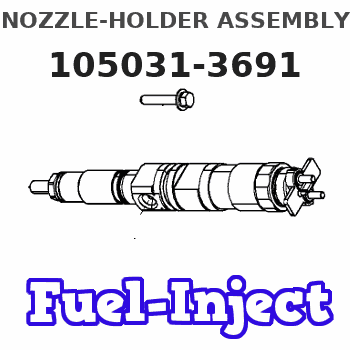 105031-3691 NOZZLE-HOLDER ASSEMBLY