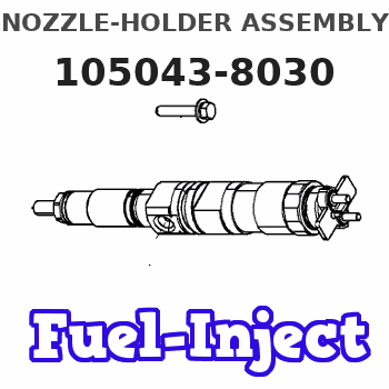 105043-8030 NOZZLE-HOLDER ASSEMBLY
